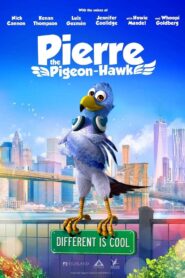 Pierre the Pigeon-Hawk