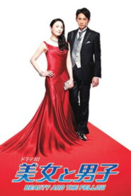 Beauty and the Fellow